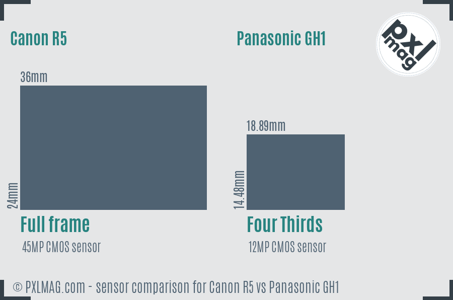 Canon R5 vs Panasonic GH1 sensor size comparison