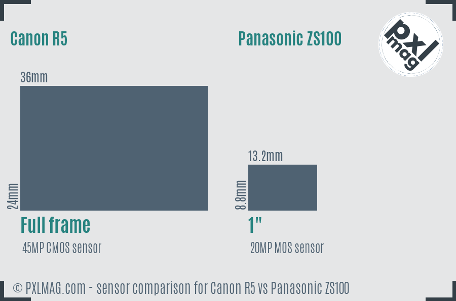 Canon R5 vs Panasonic ZS100 sensor size comparison