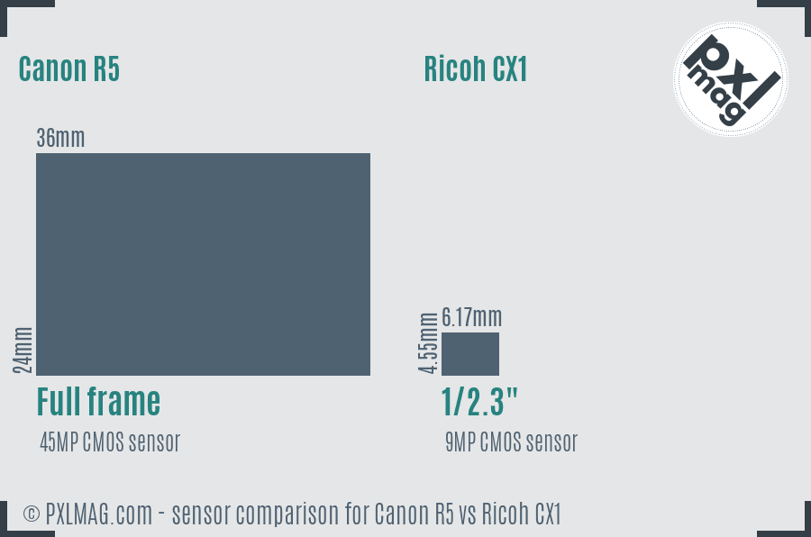 Canon R5 vs Ricoh CX1 sensor size comparison