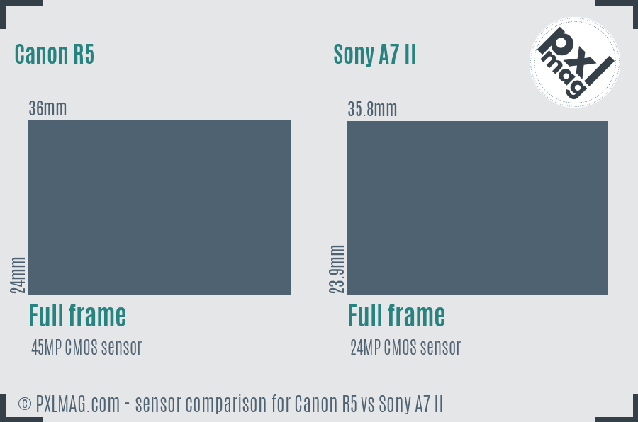 Canon R5 vs Sony A7 II sensor size comparison