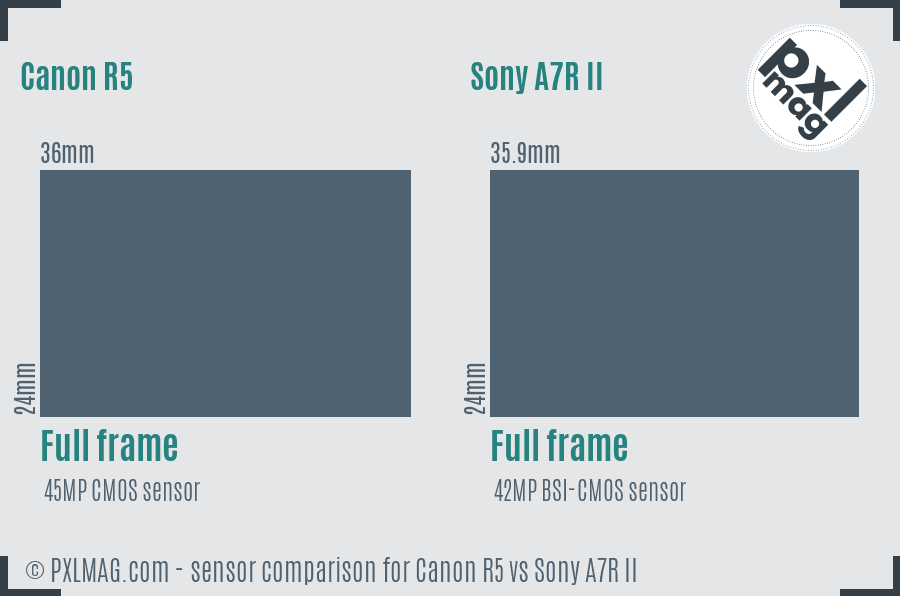 Canon R5 vs Sony A7R II sensor size comparison