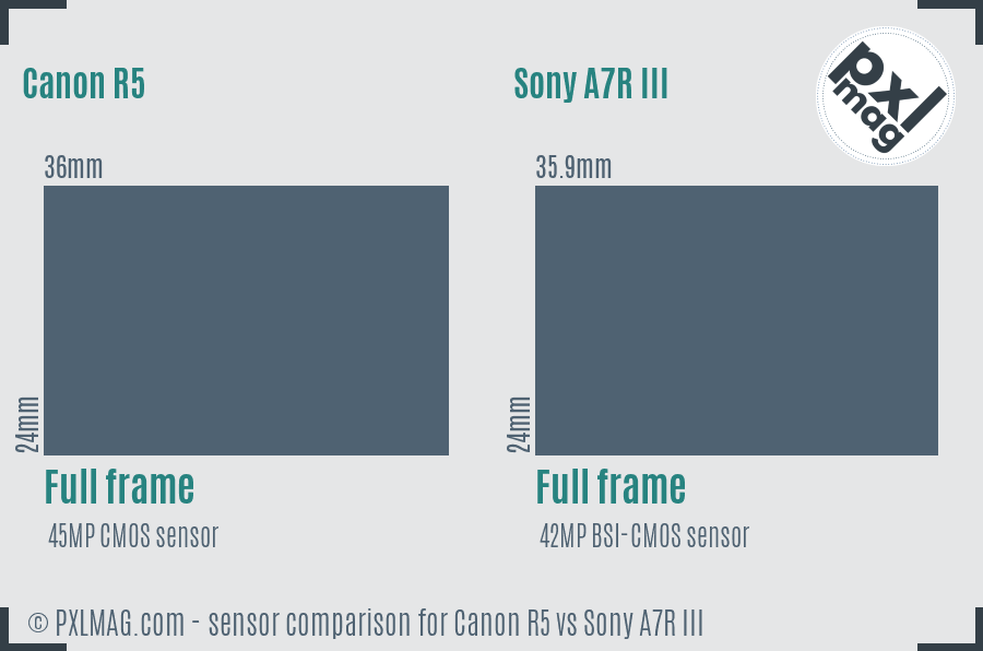 Canon R5 vs Sony A7R III sensor size comparison