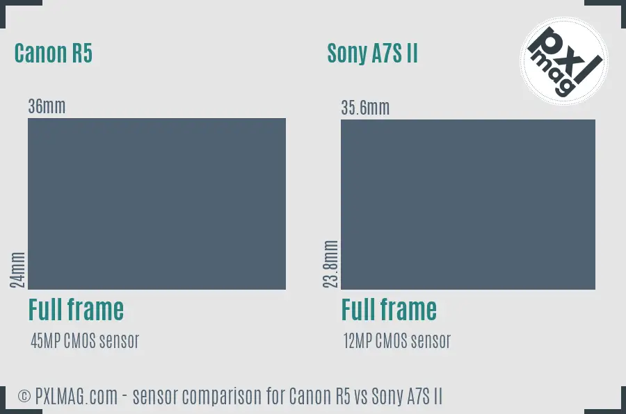 Canon R5 vs Sony A7S II sensor size comparison
