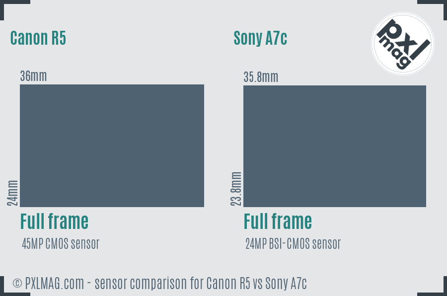 Canon R5 vs Sony A7c sensor size comparison