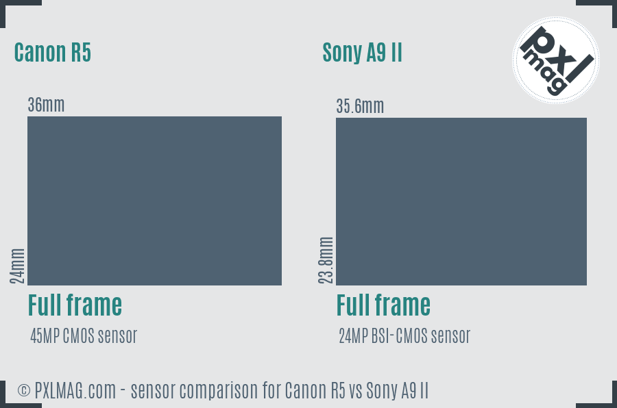 Canon R5 vs Sony A9 II sensor size comparison