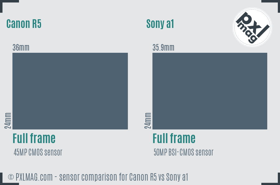 Canon R5 vs Sony a1 sensor size comparison