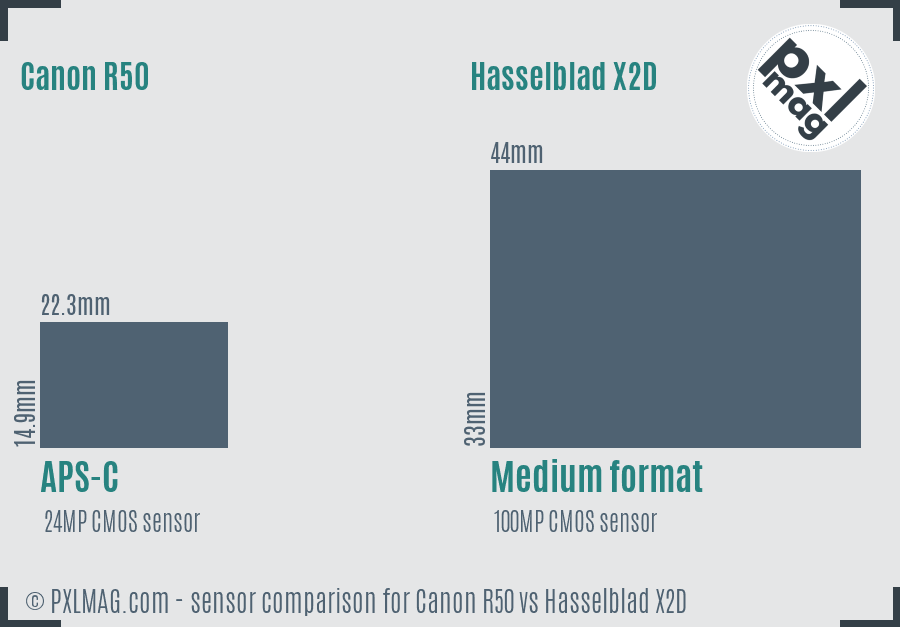Canon R50 vs Hasselblad X2D sensor size comparison