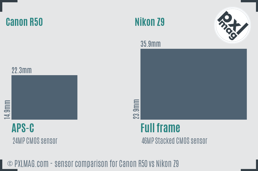 Canon R50 vs Nikon Z9 sensor size comparison