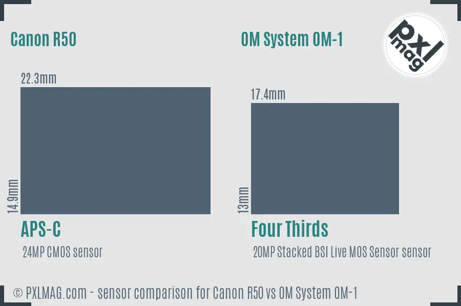 Canon R50 vs OM System OM-1 sensor size comparison