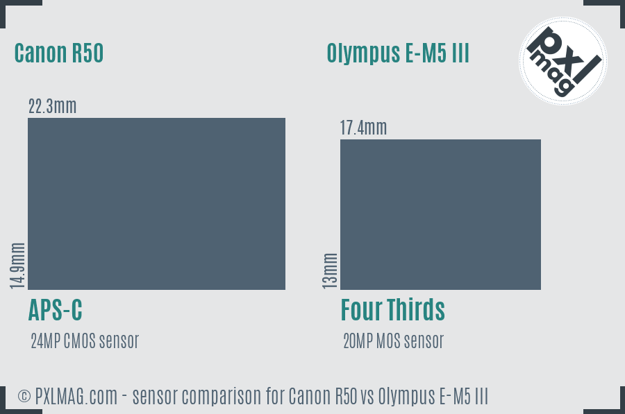 Canon R50 vs Olympus E-M5 III sensor size comparison