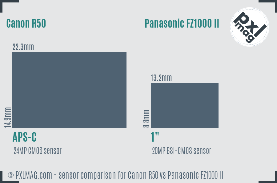 Canon R50 vs Panasonic FZ1000 II sensor size comparison Canon R50 vs Panasonic FZ1000 II sensor size comparison