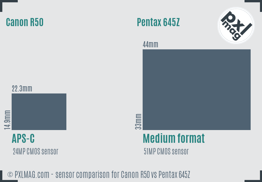Canon R50 vs Pentax 645Z sensor size comparison