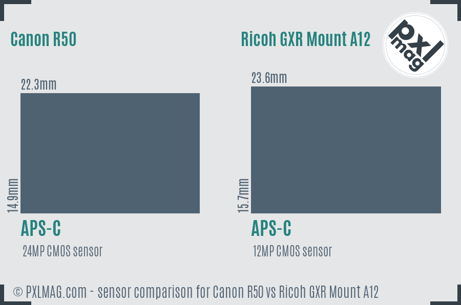 Canon R50 vs Ricoh GXR Mount A12 sensor size comparison