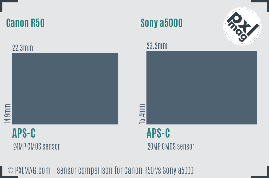 Canon R50 vs Sony a5000 sensor size comparison