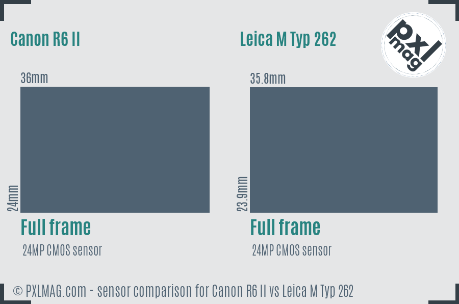Canon R6 II vs Leica M Typ 262 sensor size comparison