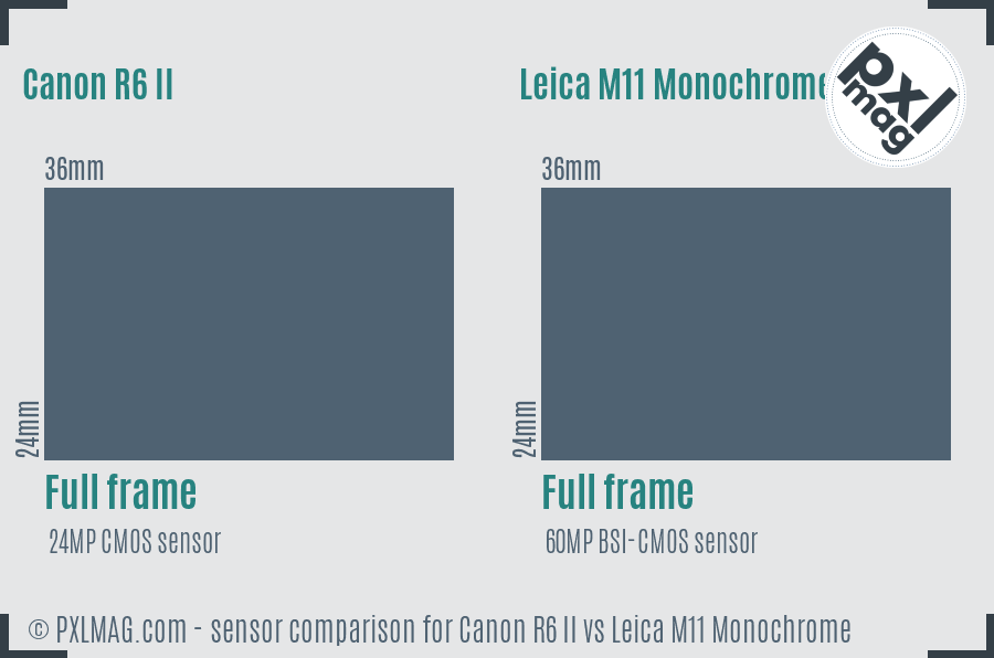 Canon R6 II vs Leica M11 Monochrome sensor size comparison