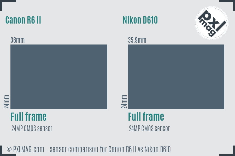 Canon R6 II vs Nikon D610 sensor size comparison