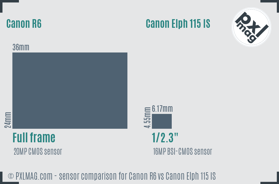 Canon R6 vs Canon Elph 115 IS sensor size comparison