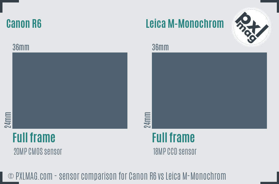 Canon R6 vs Leica M-Monochrom sensor size comparison
