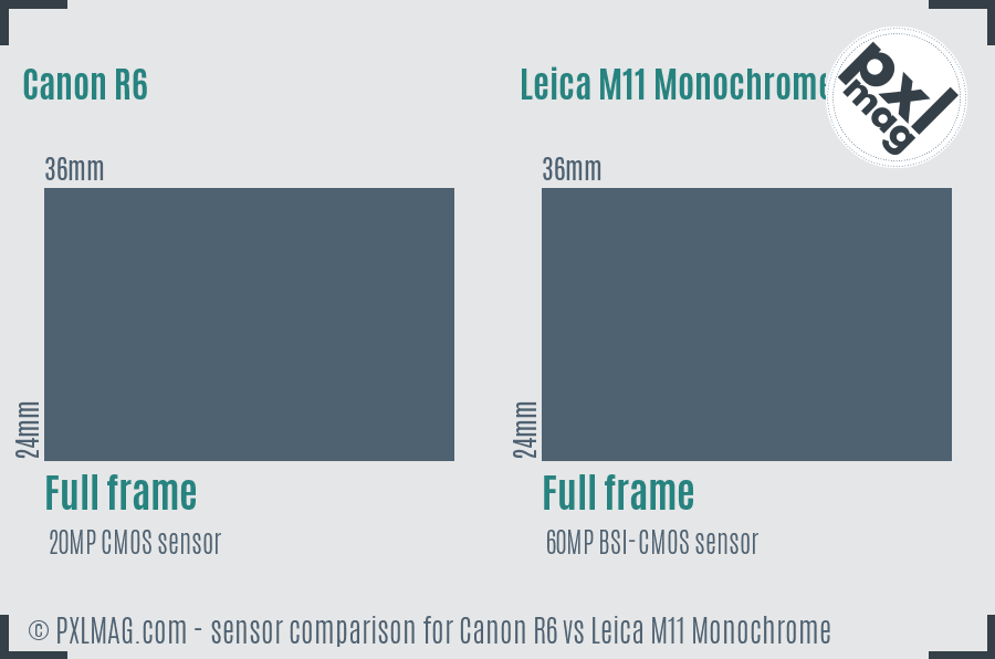 Canon R6 vs Leica M11 Monochrome sensor size comparison Canon R6 vs Leica M11 Monochrome sensor size comparison