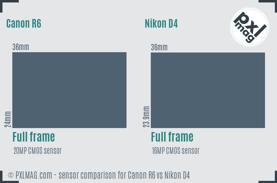 Canon R6 vs Nikon D4 sensor size comparison