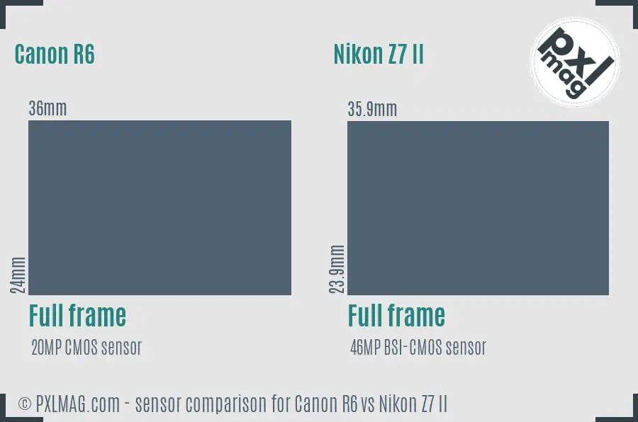 Canon R6 vs Nikon Z7 II sensor size comparison