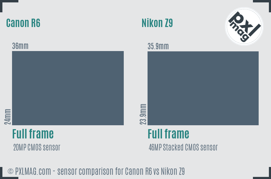 Canon R6 vs Nikon Z9 sensor size comparison