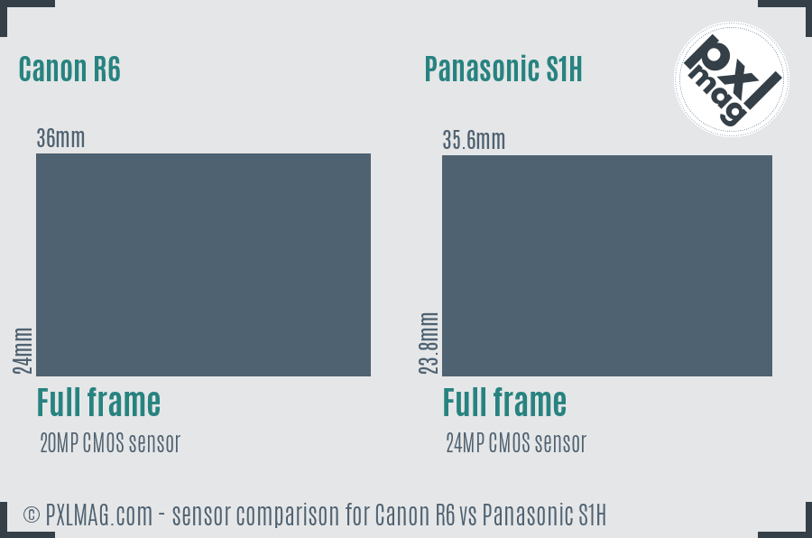 Canon R6 vs Panasonic S1H sensor size comparison