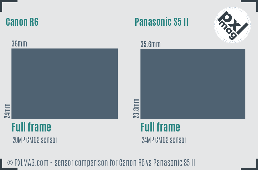 Canon R6 vs Panasonic S5 II sensor size comparison