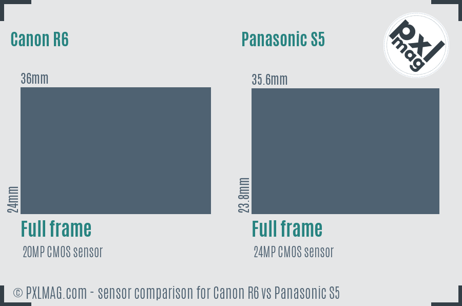 Canon R6 vs Panasonic S5 sensor size comparison