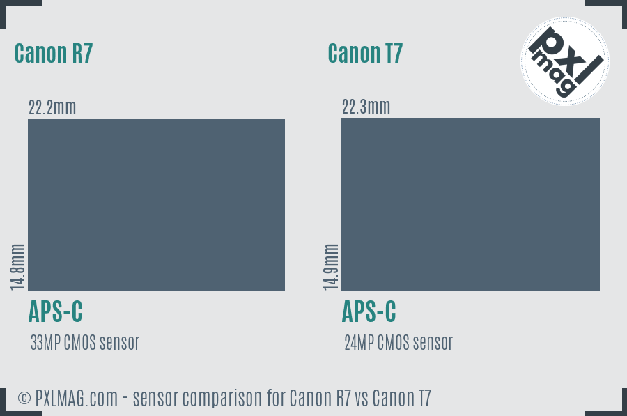 Canon R7 vs Canon T7 sensor size comparison