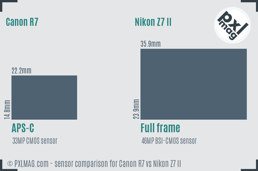 Canon R7 vs Nikon Z7 II sensor size comparison