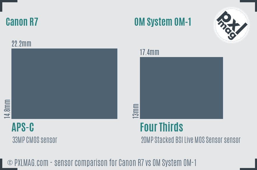 Canon R7 vs OM System OM-1 sensor size comparison