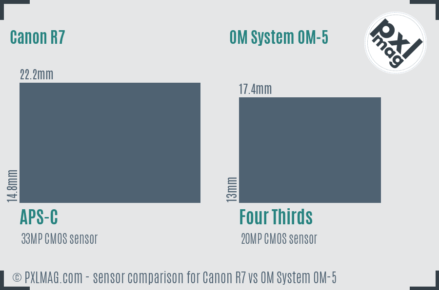 Canon R7 vs OM System OM-5 sensor size comparison