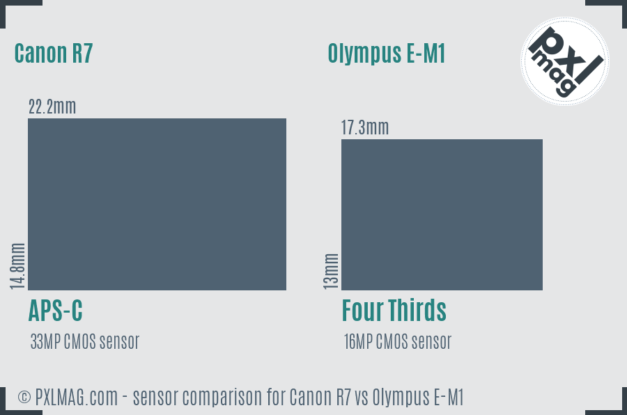 Canon R7 vs Olympus E-M1 sensor size comparison