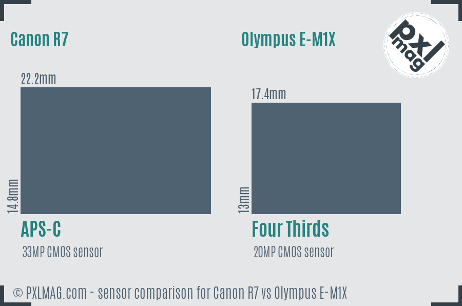 Canon R7 vs Olympus E-M1X sensor size comparison