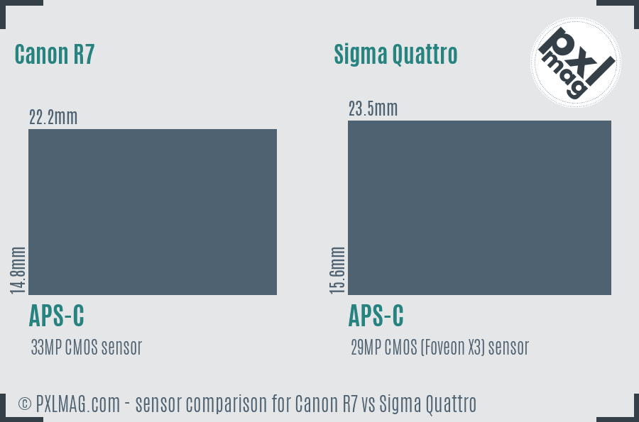 Canon R7 vs Sigma Quattro sensor size comparison
