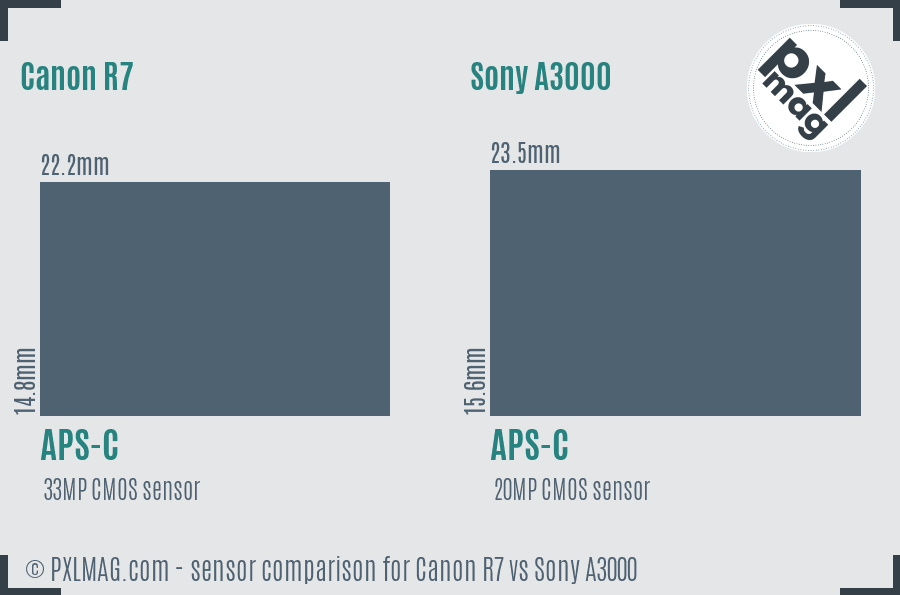 Canon R7 vs Sony A3000 sensor size comparison
