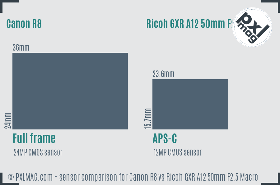 Canon R8 vs Ricoh GXR A12 50mm F2.5 Macro sensor size comparison
