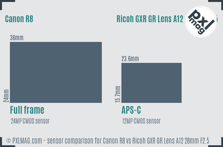 Canon R8 vs Ricoh GXR GR Lens A12 28mm F2.5 sensor size comparison
