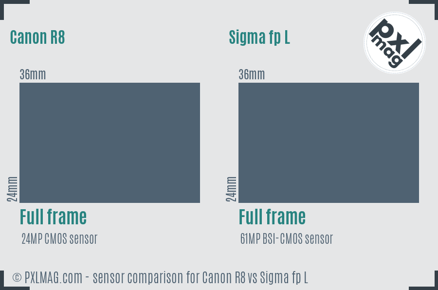Canon R8 vs Sigma fp L sensor size comparison