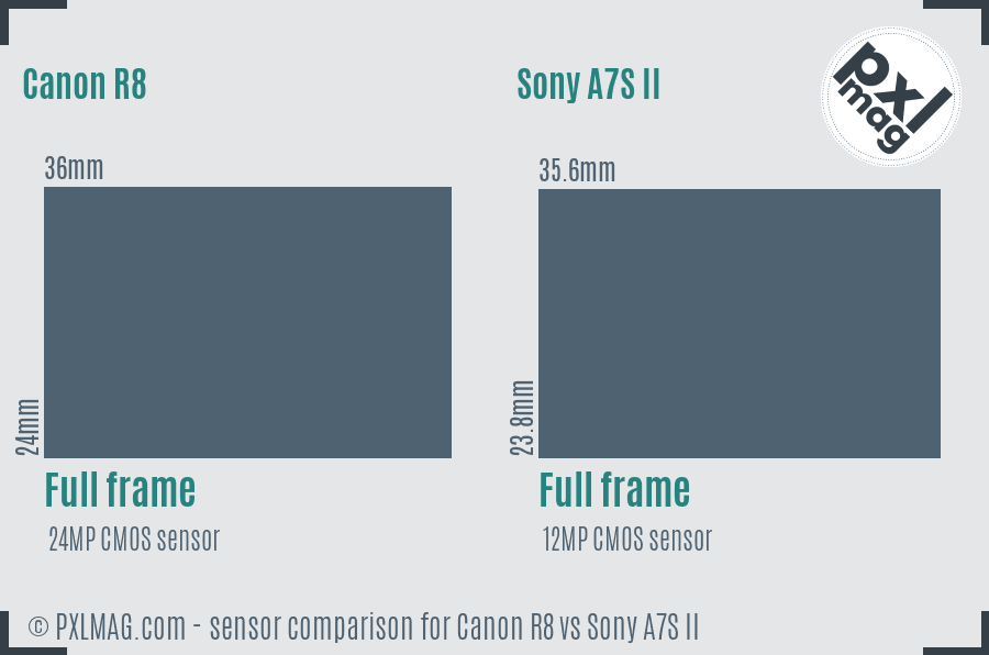 Canon R8 vs Sony A7S II sensor size comparison