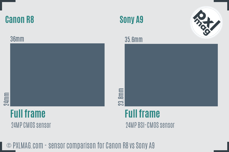 Canon R8 vs Sony A9 sensor size comparison