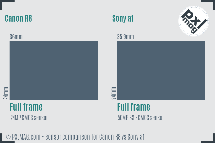 Canon R8 vs Sony a1 sensor size comparison