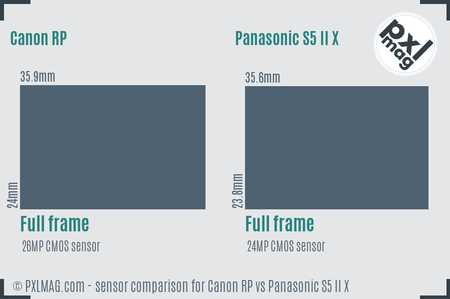 Canon RP vs Panasonic S5 II X sensor size comparison