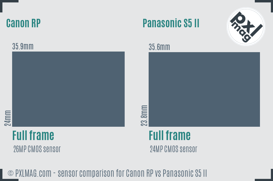 Canon RP vs Panasonic S5 II sensor size comparison