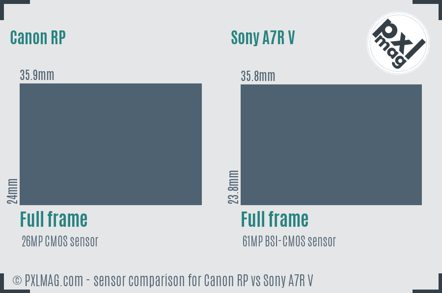 Canon RP vs Sony A7R V sensor size comparison