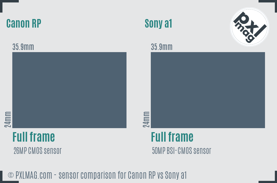 Canon RP vs Sony a1 sensor size comparison