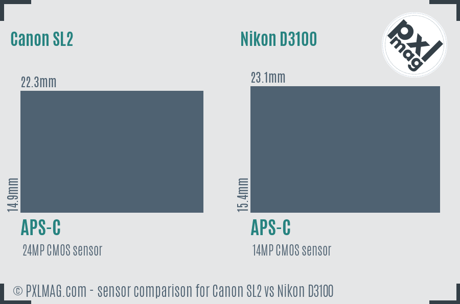 Canon SL2 vs Nikon D3100 sensor size comparison