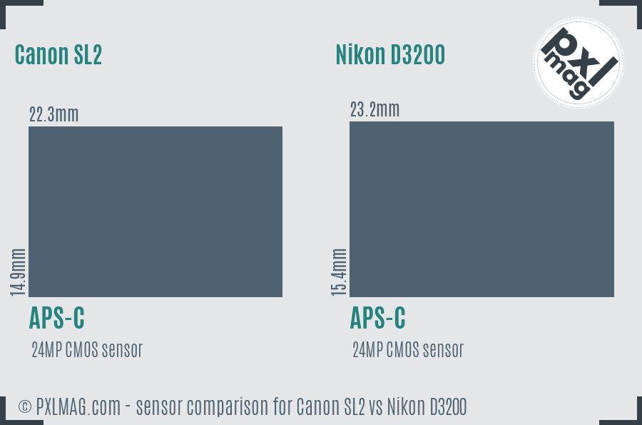 Canon SL2 vs Nikon D3200 sensor size comparison